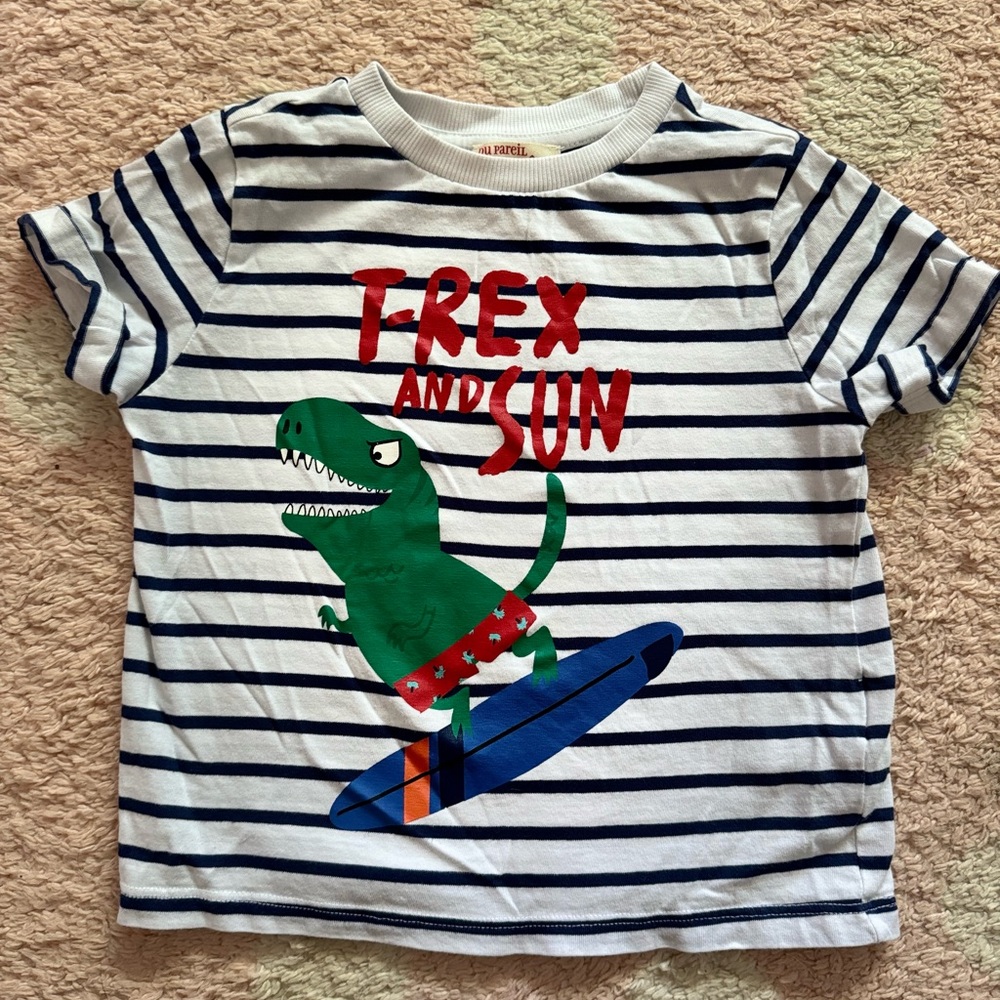 Little boy Dino t-shirt. It was brought from France and the material feels soft